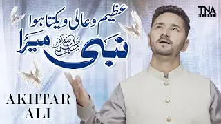 Nabi Mera | Beautiful Naat 2023 | Akhtar Ali | TNA Records 2023