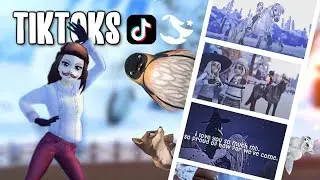 Best WINTER TikToks - Star Stable TikTok #17