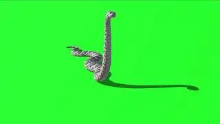 Snake 52 || Green Screen Videos