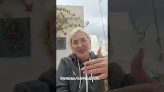Сюрпризы Азербайджана 