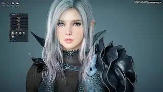 Black Desert - Dark Knight customization
