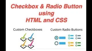 Stylish Checkbox and Radio Button Using HTML and Css