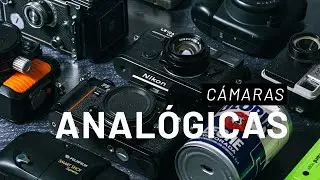 Todos los Tipos de Cámaras Analógicas que aún Puedes Comprar