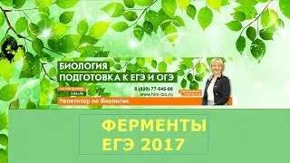 Ферменты пищеварительной системы.Подготовка к ЕГЭ и ОГЭ по биологии
