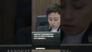 Адвокат Бишимбаева: «Это не преступление, это ошибка!» 