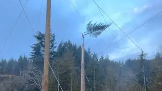 Good time’s working in the sooke area