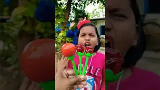 aha tamatar bade majedar 