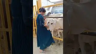 Jai shree Krishna 🙏🙏