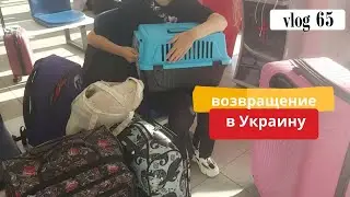 vlog 65 В Украину со Стамбула, 5 часов на таможне, забрали кошку