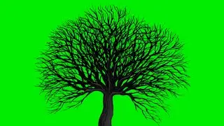 Green screen effect tree