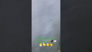 Новая печка в курятнике 🐓🐔🐣🐤🐥