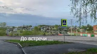 Вечерняя прогулка по городу Тайга . Расцвела черемуха.