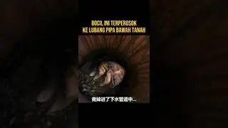 BOCIL INI TERJEBAK DI DALAM LUBANG PIPA BAWAH TANAH 