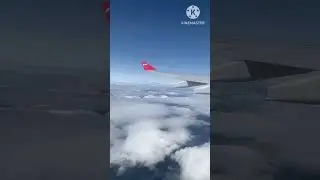 С Нижнегоа Сочи за 2 минуты😉/Отдых на море 2023