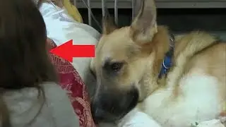 The grandmother came running to the child’s cry, and when she saw what the dog had done, she rushed