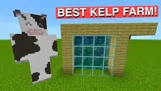 How to make Minecraft’s BEST Kelp Farm!
