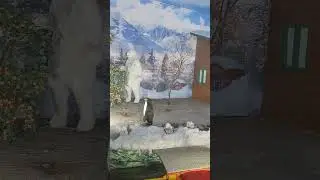 Beautiful place#snowfall #snow #winter #shortvideo #trending #lovesong #love