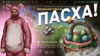 Day r premium v.750 ОБЗОР ПАСХАЛЬНОГО ОБНОВЛЕНИЯ! КРОЛИК И ПАСХАЛЬНЫЕ ЯЙЦА! ГОТОВЛЮ ПАСХАЛЬНЫЙ КУЛИЧ