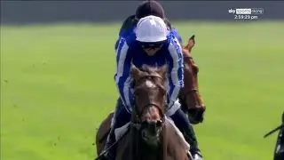 🤯 33/1 shock in the French 2000 Guineas as MARHABA YA SANAFI wins at ParisLongchamp!