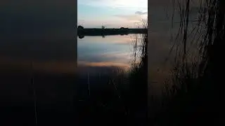 У нас тишина ! Собачка Соня на рыбалке