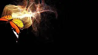 Particles Transitions | No Copyright | No Plugins Required | Easy To Use