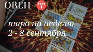 ОВЕН ТАРО расклад на неделю со 2 по 8 сентября 2024 года.