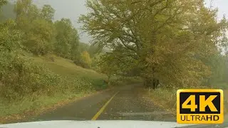 Driving from Pucon to Huife | Autumn 2022 | Pucon 🇨🇱 Chile | 4k 60fps