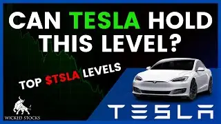 Tesla Stock Price Analysis | Top Levels To Watch for Wednesday, August 7th 2024