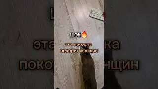 15 января 2024 г.