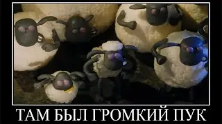 Муд Барашек Шон демотиватор (Ворон)