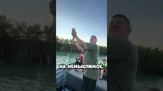 Метнул рыбу в небо и вы не поверите что было дальше #shorts
