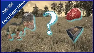 How to Feed Baby Dinos  | Ark Survival evolved