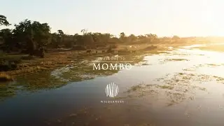 Wilderness Mombo: The Place of Plenty