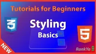 CSS Styling Basics - html5 & CSS Course - Full CSS Course for FREE