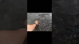 Skarby z rzeki! Piękna moneta z Tamizy!