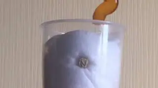 Эксперимент с проращиванием гороха