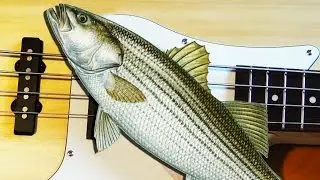 BASS MEETS BASS