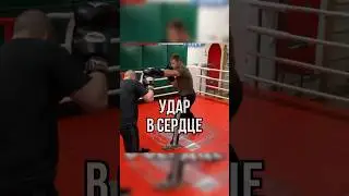 Удар в сердце 