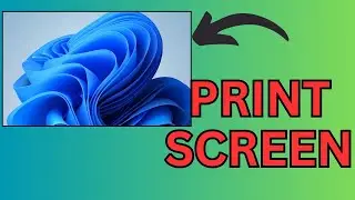 How to take screen shot on windows 10 or 11