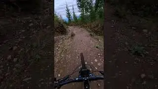 Finding Speed on a PNW Flow Trail #mtb #bike #mountainbike #mtblife