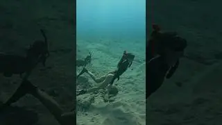 If you’re lost at sea might find her 