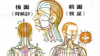 The Primitive Nature of Shiatsu - a short discussion