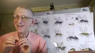 Why Biologist Need to Learn English Language? Dr Victor Fursov Explains, English+Biology 