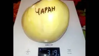 Томат Чаран