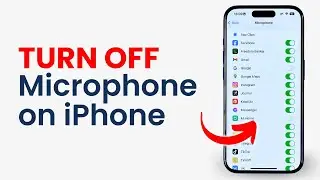 How to Turn Off Microphone on iPhone