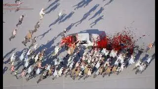 BioDrive - Prototyping Zombie Particles