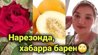 БАЧАВУ ОЧА ГАШТЕМ/ЧАНД ПУЛ ГИРИФТАМ?🇹🇯17.05.2023