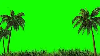Harvesting Design Palm Trees and Grass on a Green Background Green Screen for Keying 4K