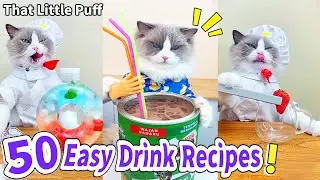 Meow Chef: 50 Easy Drink Recipes!🍹 | That Little Puff
