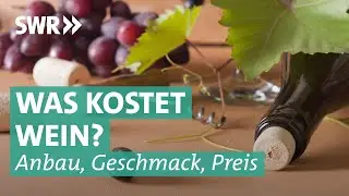 Herkunft, Anbau und Qualität von Wein: Johannes Zenglein unterwegs im Südwesten | Was kostet...? SWR